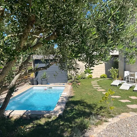 Sasha'blue-terrasse Jardin-park-clim-piscine L'Isle-sur-la-Sorgue